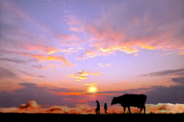 Fototapeta na wymiar オレンジの空を背景に草原の牧場で牛を曳く老人と少女のシルエット