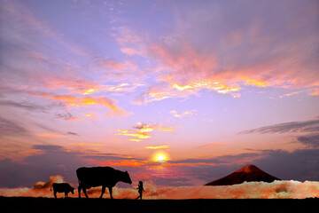 Fototapeta na wymiar オレンジの空を背景に草原の牧場で牛を曳く少女のシルエット
