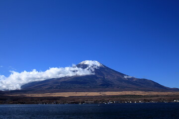 Enjoy the autum color leaves
