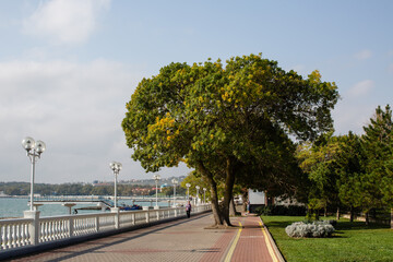 Obraz premium Gelendzhik embankment with sea view