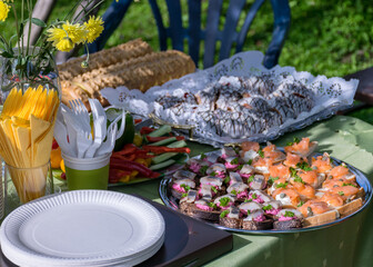 delicious close-up of food on the festive table, picnic in the garden