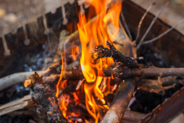 flames of fire in the grill with branches of fruit trees. barbecue bonfire