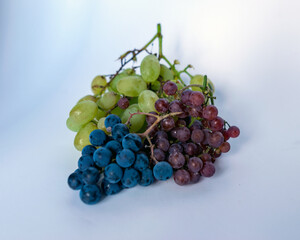 grapes of different shapes and colors on the table, grape tasting and tasting concept
