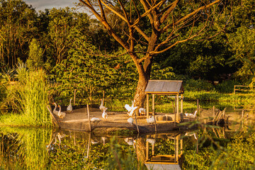 Fototapete bei efototapeten.de bestellen   