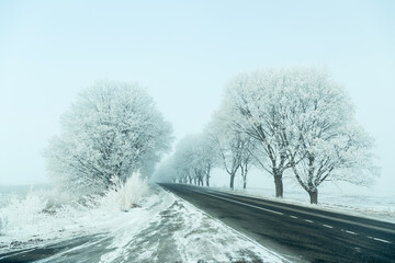 Winter landscape road and frozen trees alley