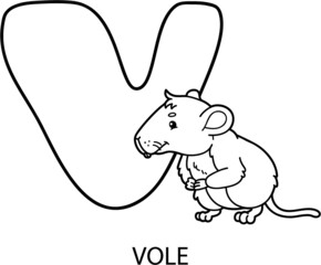 Vector illustration of educational alphabet coloring page with cartoon animal for kids