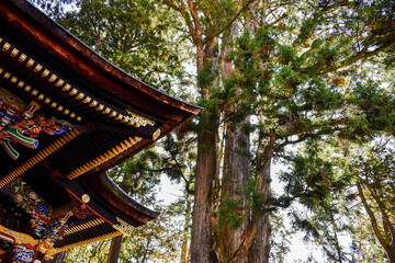 Fototapeta na wymiar beautiful and mysterious Japanese temple in Mitsumine, Chichibu