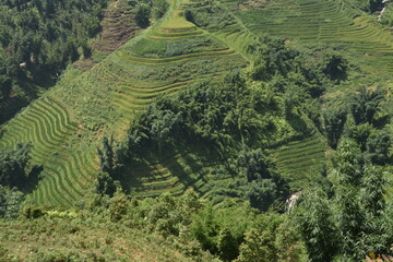 Dolci colline in Asia