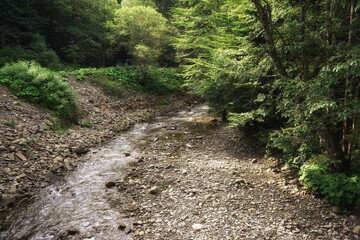 Stone riverbed of a mountain river, summer in the Gorce, sunny l © Piotr