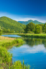 Gacka river between green fields, summer view, Lika region of Croatia, beautiful green landscape
