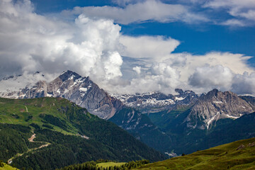 landscape forest in trentino with dolomiti mountain