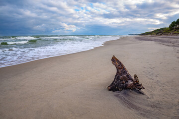 Baltic sea coast with wooden stump