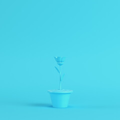 Flower in a pot on bright blue background in pastel colors