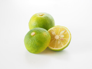 すだち　白背景で