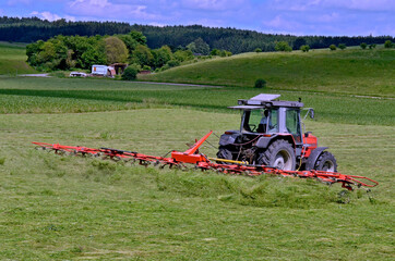 Campo cultivado em area rural. Nordlingen. Alemanha. Europa