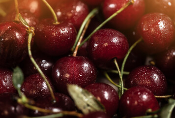 Red freshly picked cherry. Juicy cherry on a wooden background.