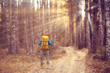 autumn hike with a backpack, sun rays, autumn landscape, a man in the forest glare of light sunset