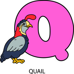  Vector illustration of educational alphabet card with cartoon animal for kids