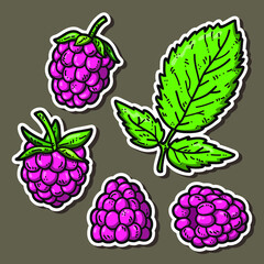 Vector stickers set of cute hand drawn raspberry