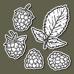 Vector stickers set of cute hand drawn raspberry
