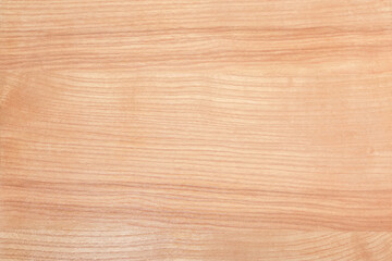 Varnished panel of the natural ash-tree wood, background, texture