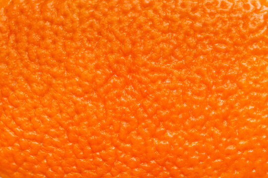 The skin of an orange closeup.