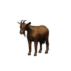 Farm animals - goat - isolated on white background - 3D illustration