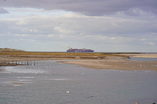 617 Best Knokke Images Stock Photos Vectors Adobe Stock
