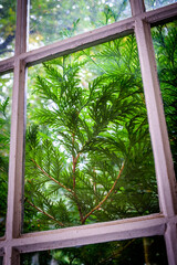 old window at a facade