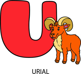 Vector illustration of educational alphabet card with cartoon animal for kids