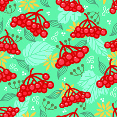 red berries of viburnum with leaves