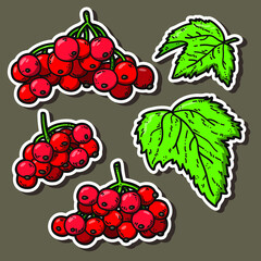 Vector stickers set of cute hand drawn colorful viburnum