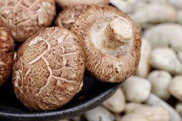 Shiitake mushroom on stone background