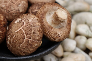 Shiitake mushroom on stone background