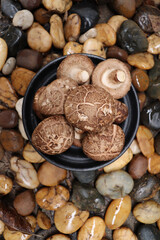 Shiitake mushroom on stone background
