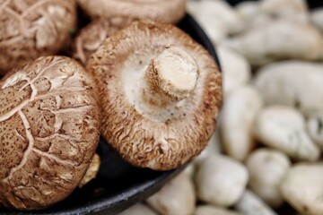 Shiitake mushroom on stone background