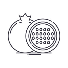 Pomegranate icon, linear isolated illustration, thin line vector, web design sign, outline concept symbol with editable stroke on white background.