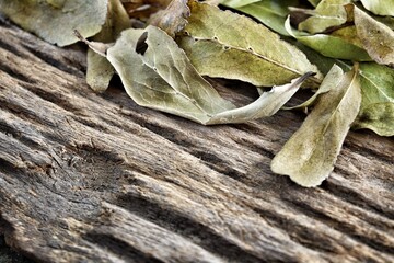 Brown dried leaves on wood background