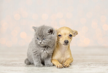Fototapeta na wymiar A small puppy and a fluffy kitten are sitting on the floor