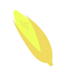 Yellow Field Corn for Vegans. Vegan Food and Veganism. Giant Fruits and Vegetables. Healthy Huge food. Natural Products. Vegetarianism. Flat Vector Illustration