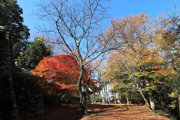 高取城の紅葉