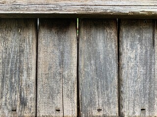 Old wooden weathered slat natural background texture with rusty staples.