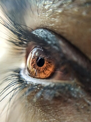 close up of eye
