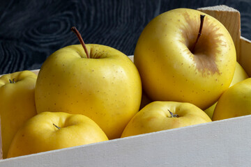 Pommes Golden dans une cagette en bois sur fond noir