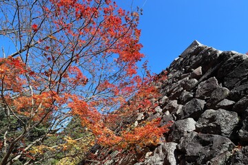 高取城の紅葉