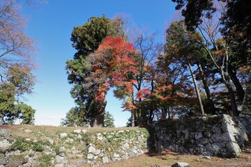 高取城の紅葉