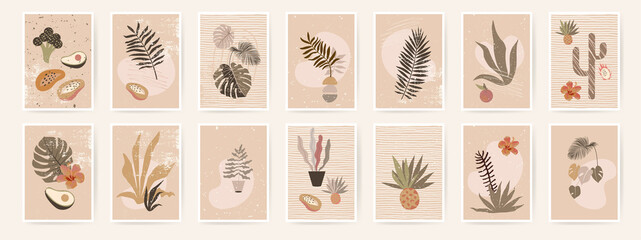 Abstract organic posters. Fluid organic shapes, neutral natural colors. Trendy contemporary collage artistic prints. Mid Century Modern design. Plant abstraction posters.Grungy textures. EPS10 vector © babayuka