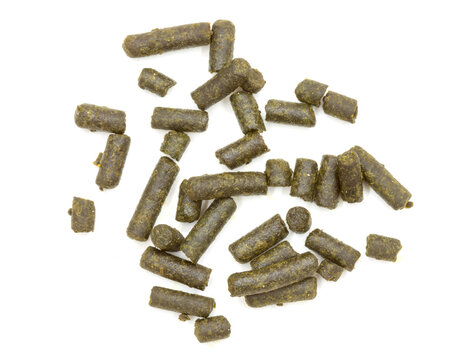 portioned tobacco snus for use through the gums on a white background