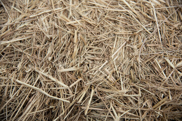 Closeup of straws laid disorderly on the ground