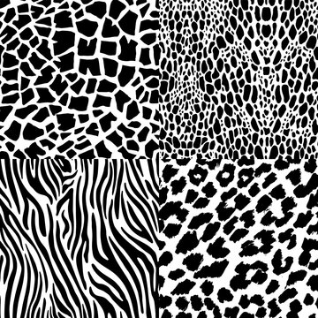 Four seamless patterns of animal prints. Abstract black and white composition of the pattern of zebra, tiger, lizard, giraffe.